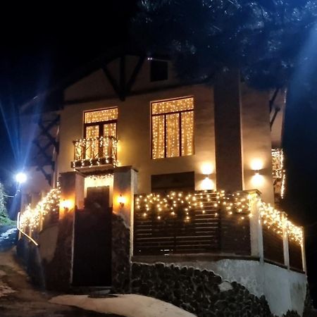 Villa Beridze Bordžomi Exteriér fotografie
